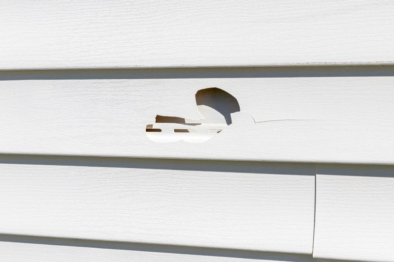Vinyl Siding Repair - Image 4