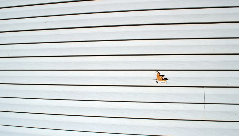 Vinyl Siding Repair - Final Image 3